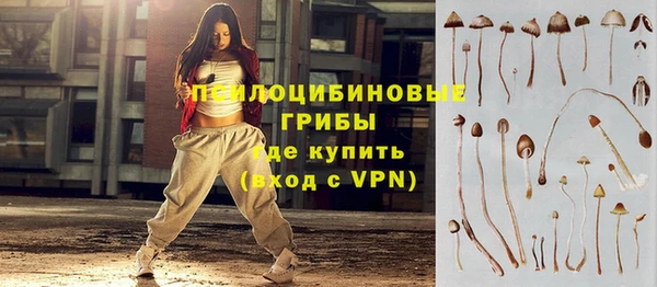 дживик Коряжма